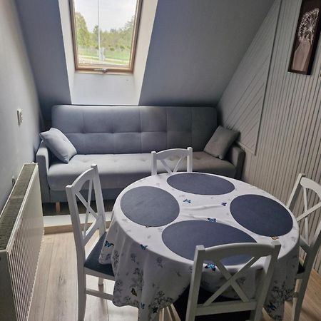 Dana-Mazury Apartment Gizycko Exterior photo